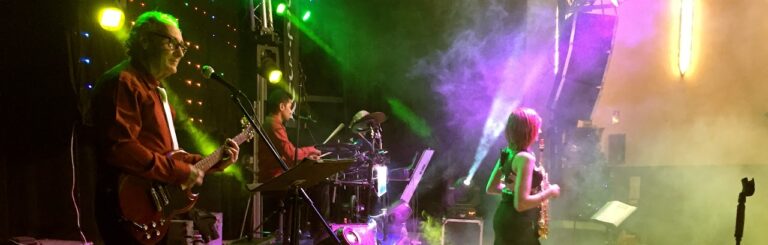 Lee más sobre el artículo Orquesta Acuario