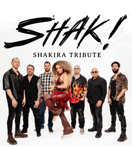 Lee más sobre el artículo Shakira