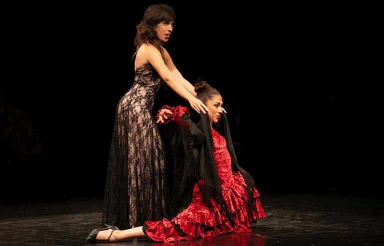 Lee más sobre el artículo Veus En Dansa