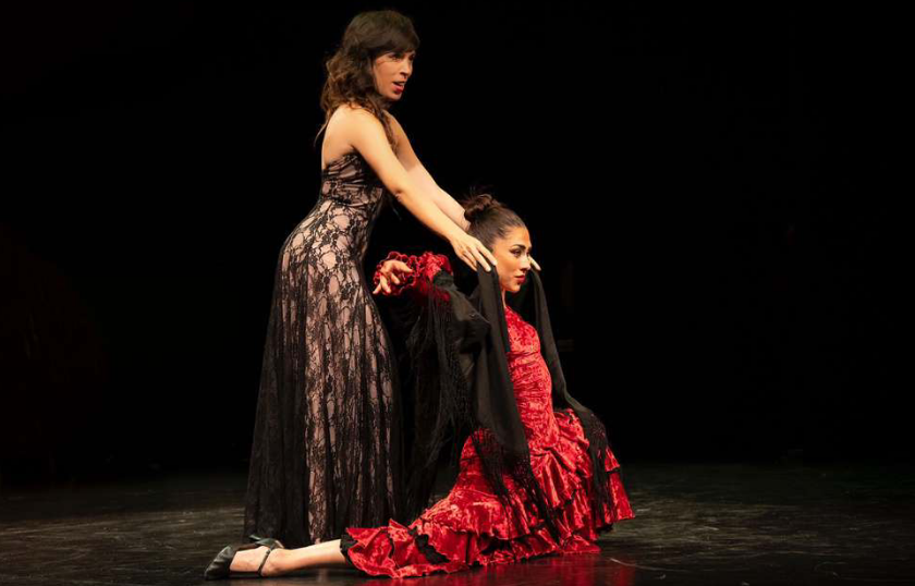 Lee más sobre el artículo Veus En Dansa